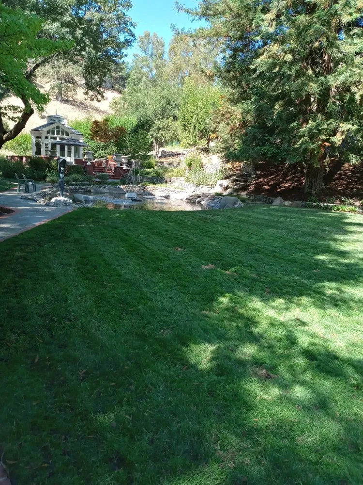 Professional landscape installation in Antioch, CA - PowerGreen Lawns