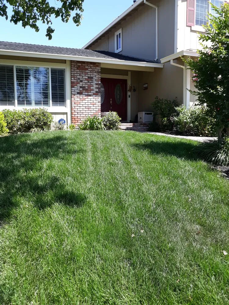 Top-rated residential landscaping in Antioch, CA - PowerGreen Lawns