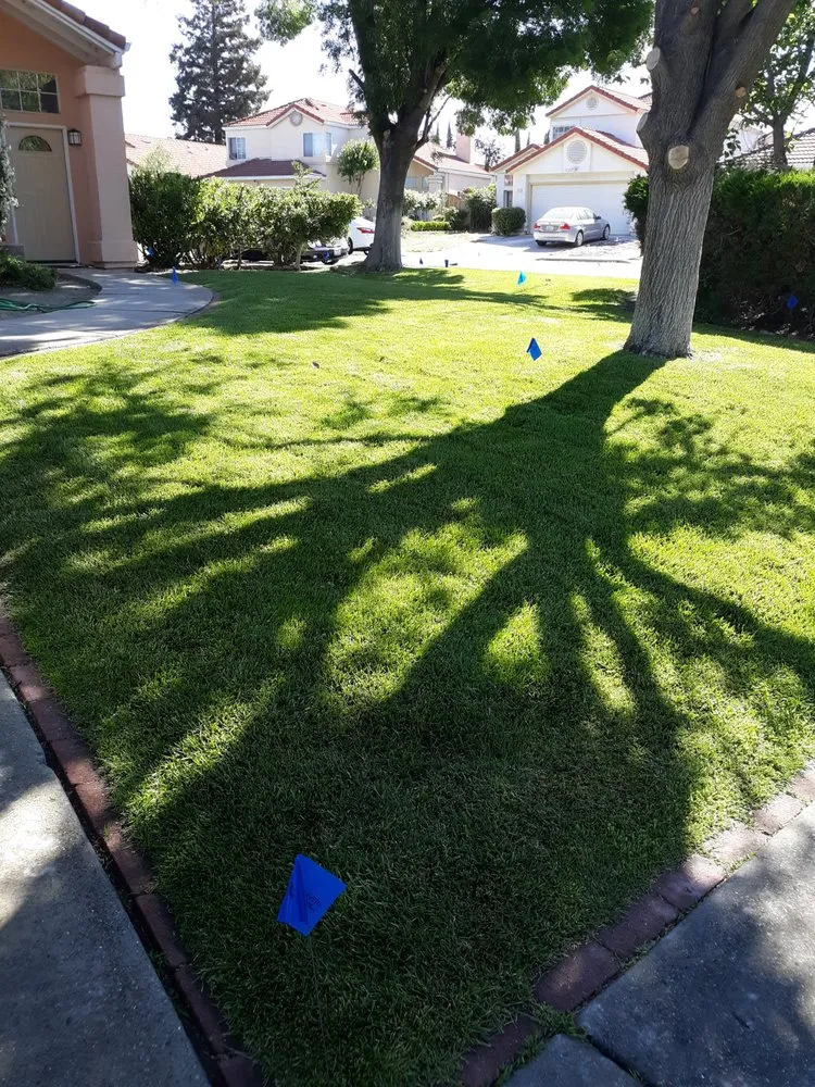 Reliable landscape installation for residential properties in Antioch, CA by PowerGreen Lawns