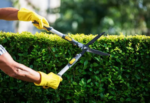 Top-rated lawn mowing service in Billerica, MA - Powerhouse Landscaping
