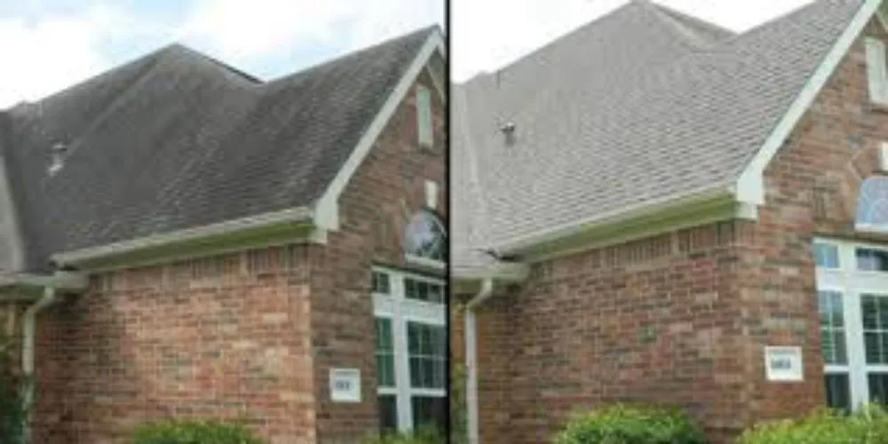 Professional yard maintenance for residential properties across Memphis, TN - Powerhouse Pressure Washing And Lawn Care