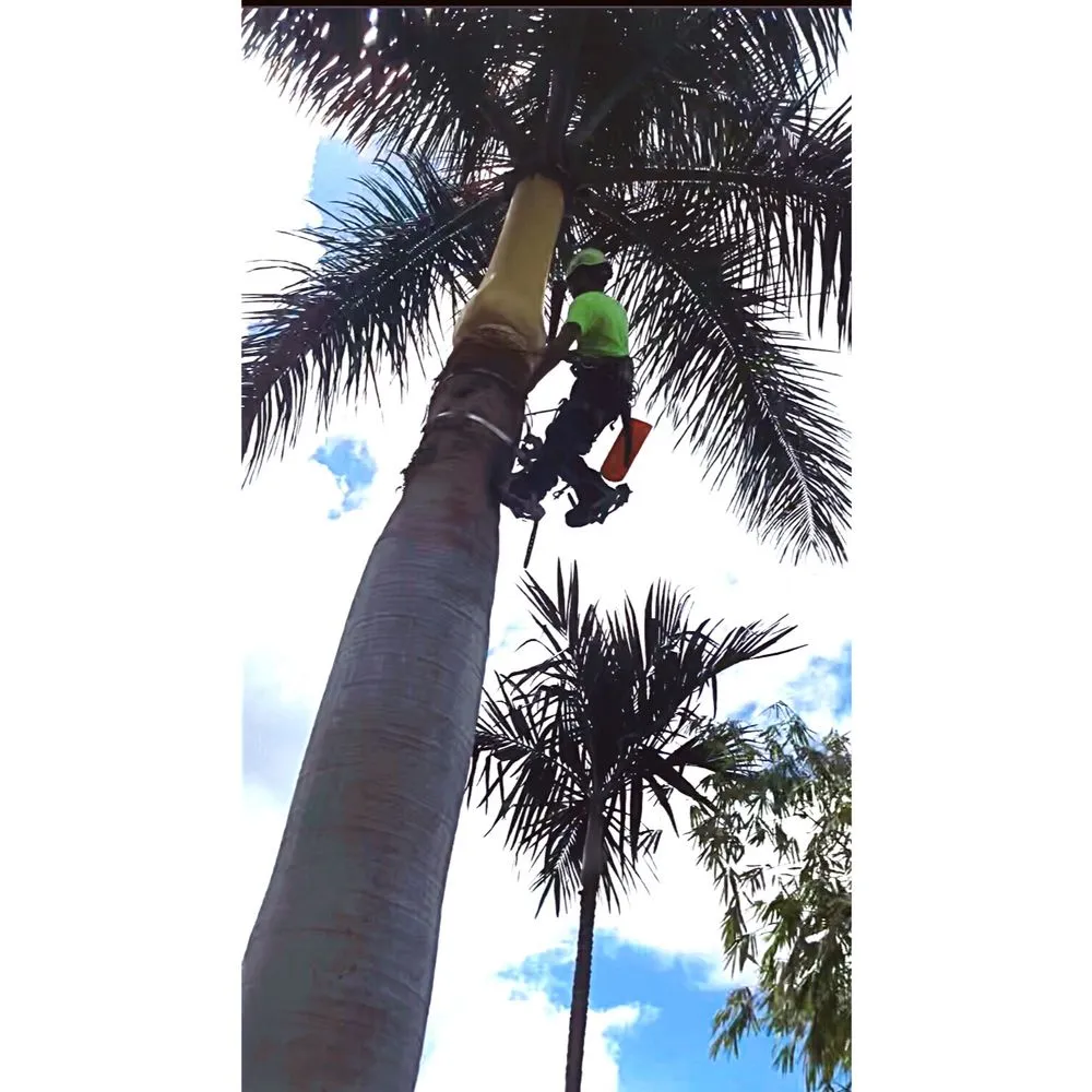 Top-rated residential landscaping experts serving Kailua-Kona, HI - Powerhouse Tree & Lawn Service