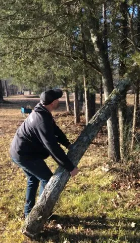 Local landscape installation for residential properties across Cleveland, TN - Powers and Sons home solutions