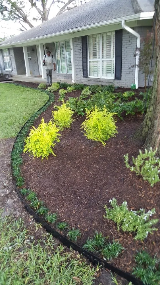 Affordable landscaping services for year-round maintenance across Waco, TX - Power's Property Maintaince