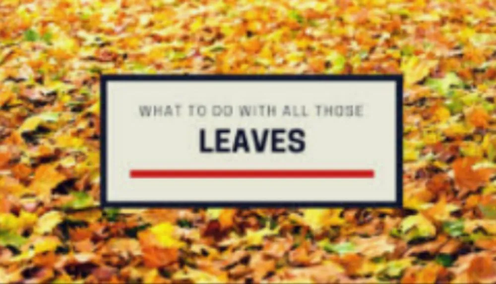 Affordable garden landscaping in Waco, TX - Power's Property Maintaince