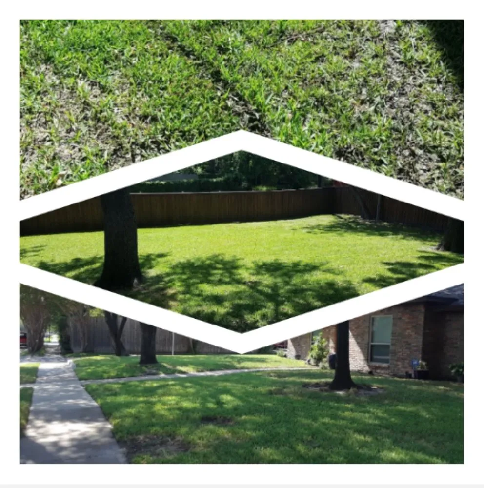 Trusted garden landscaping experts serving Waco, TX - Power's Property Maintaince