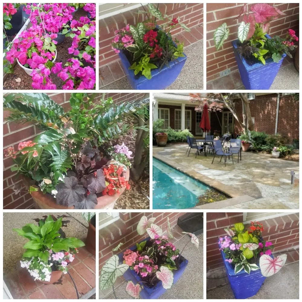 Top-rated landscape installation in Waco, TX - Power's Property Maintaince