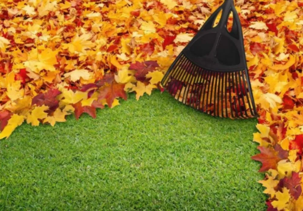 Custom garden landscaping for outdoor upgrades in Waco, TX by Power's Property Maintaince