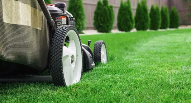 Custom outdoor landscaping for year-round maintenance in Waterford, PA by Powers Services