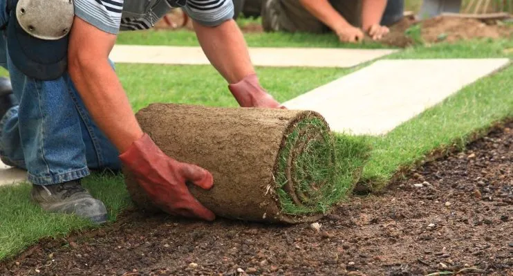 Top-rated lawn care service experts serving Waterford, PA - Powers Services