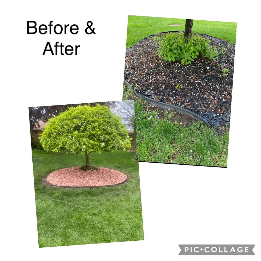 Professional outdoor landscaping for outdoor upgrades across Washington, MI - Powerscape Landscaping