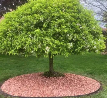 Expert outdoor landscaping in Washington, MI - Powerscape Landscaping