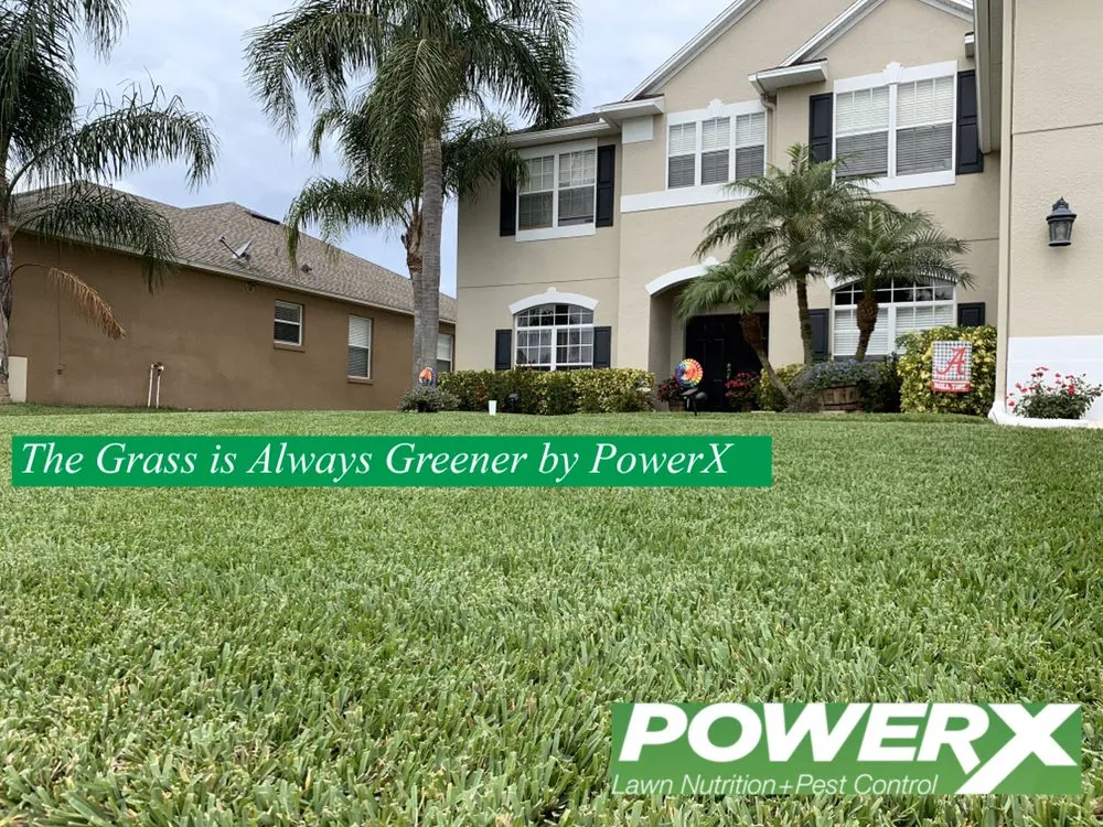 Professional outdoor landscaping with custom design in Winter Park, FL by PowerX - Orlando