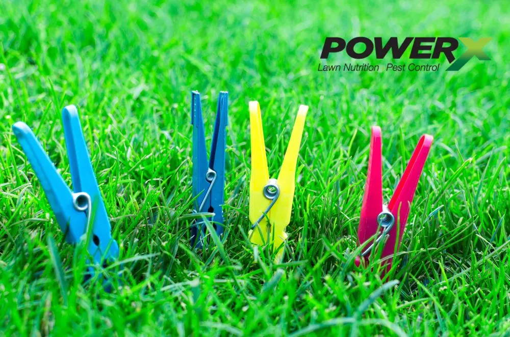 Local yard maintenance in Winter Park, FL - PowerX - Orlando