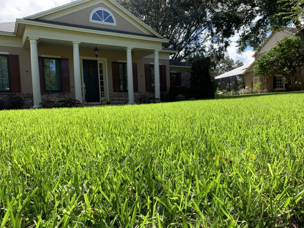 Top-rated yard cleanup service in Winter Park, FL - PowerX - Orlando