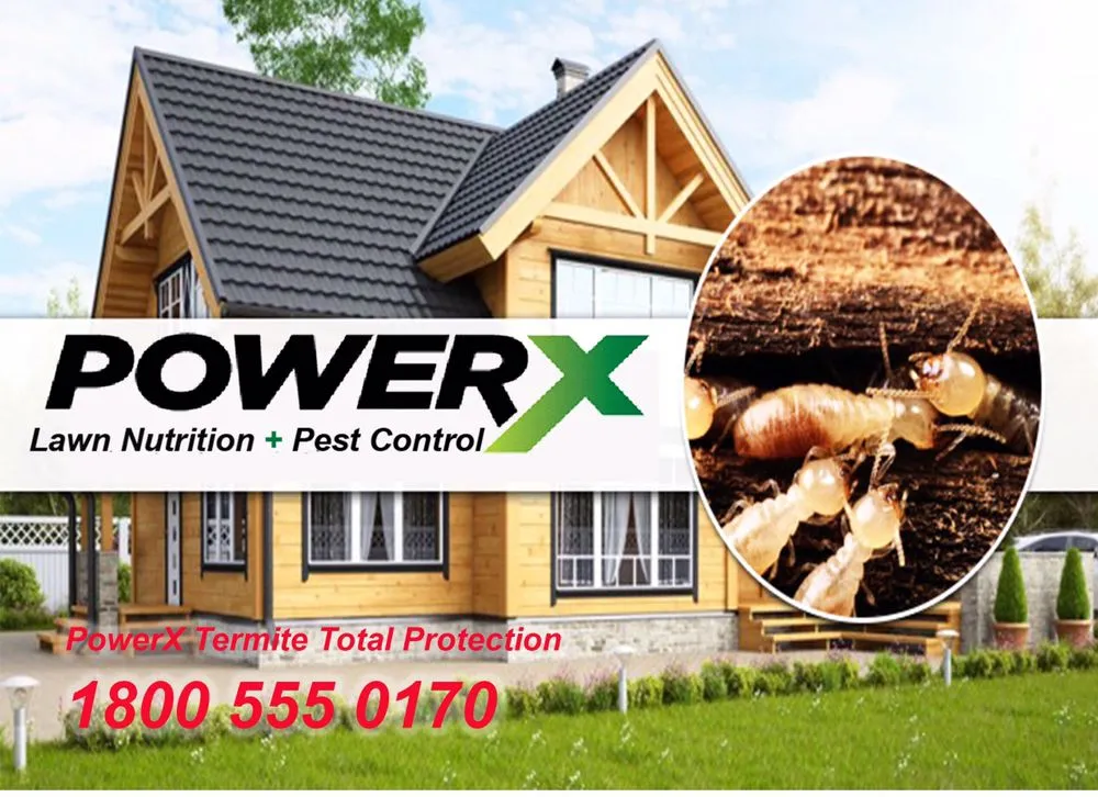 Custom landscape installation with custom design across Winter Park, FL - PowerX - Orlando