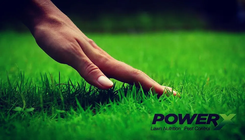 Professional lawn care service in Winter Park, FL by PowerX - Orlando