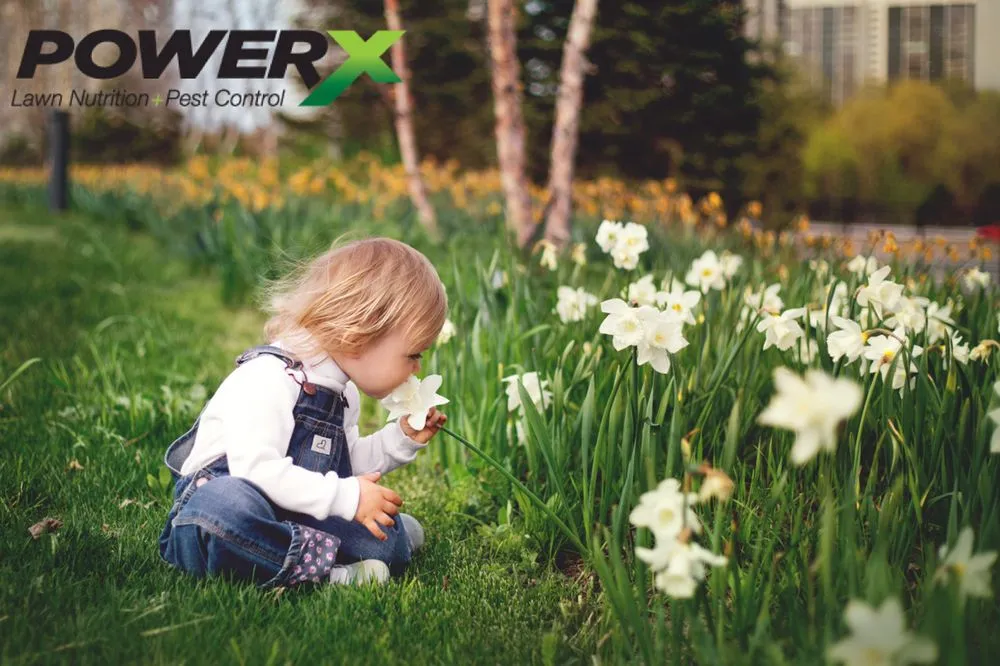 Reliable garden landscaping near you in Winter Park, FL by PowerX - Orlando