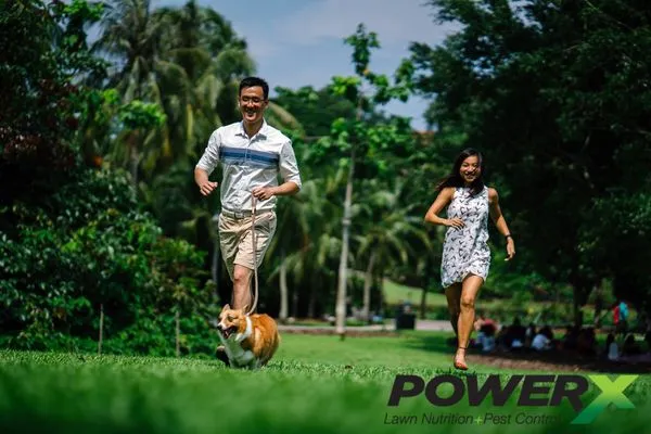 PowerX - Orlando Logo