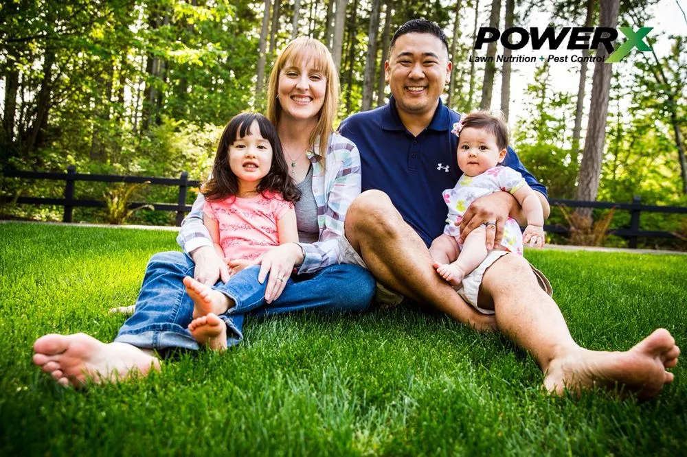 Reliable landscape installation for year-round maintenance across Miami, FL - PowerX