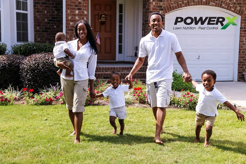 Professional landscaping services with custom design across Miami, FL - PowerX