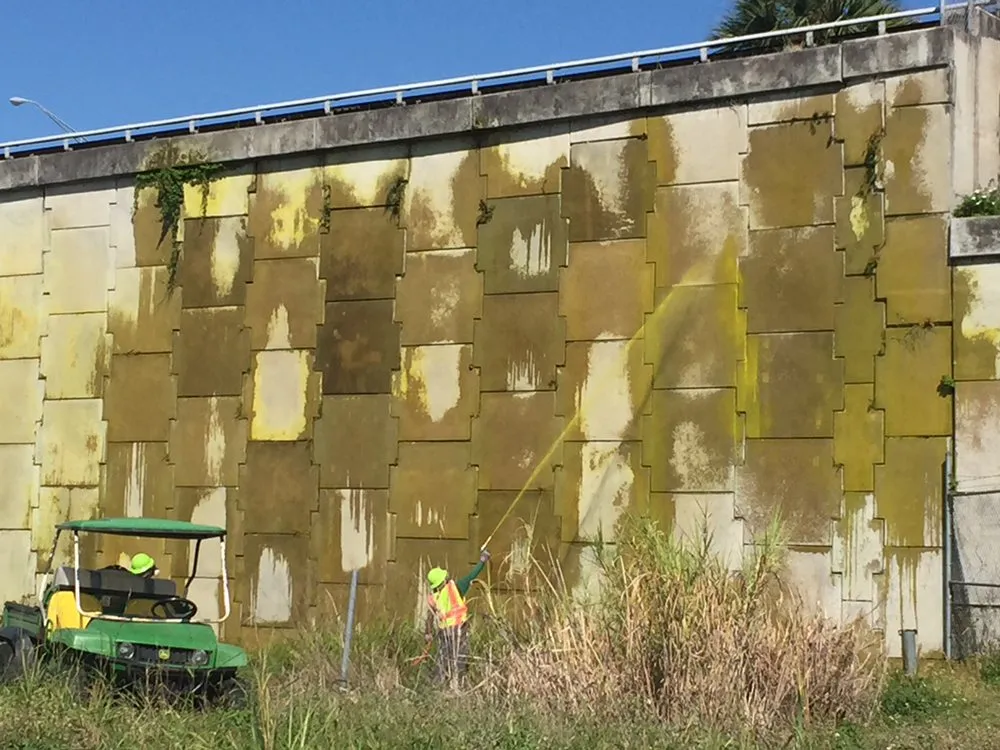 Expert garden landscaping in Miami, FL - PowerX