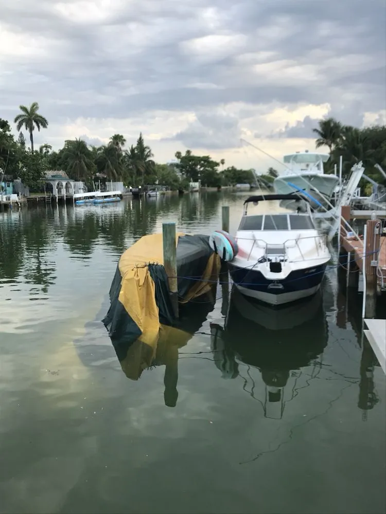 Top-rated landscape installation for outdoor upgrades across Miami, FL - PowerX