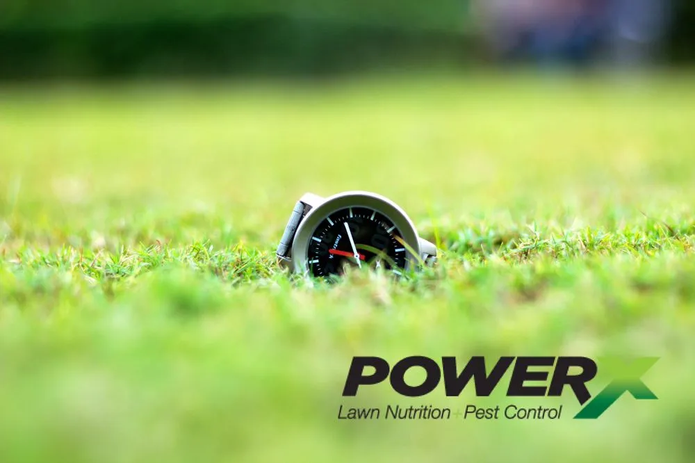 Local residential landscaping for beautiful yards in Miami, FL by PowerX