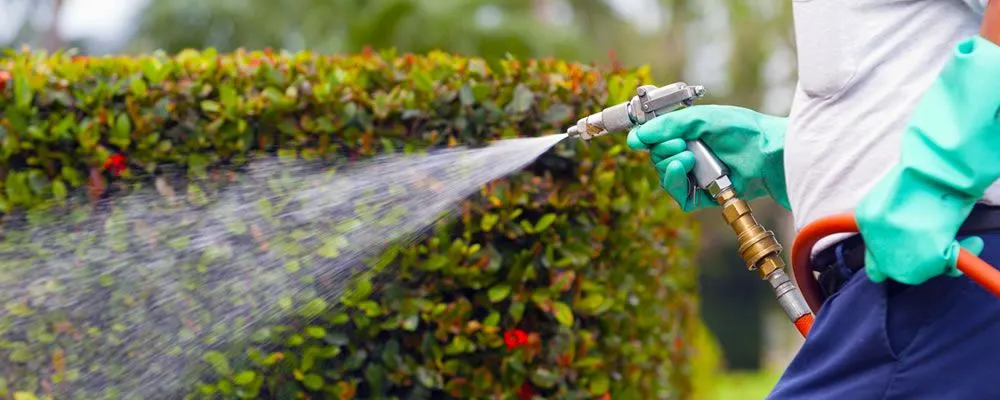 Custom landscape installation in Royal Palm Beach, FL - PowerX