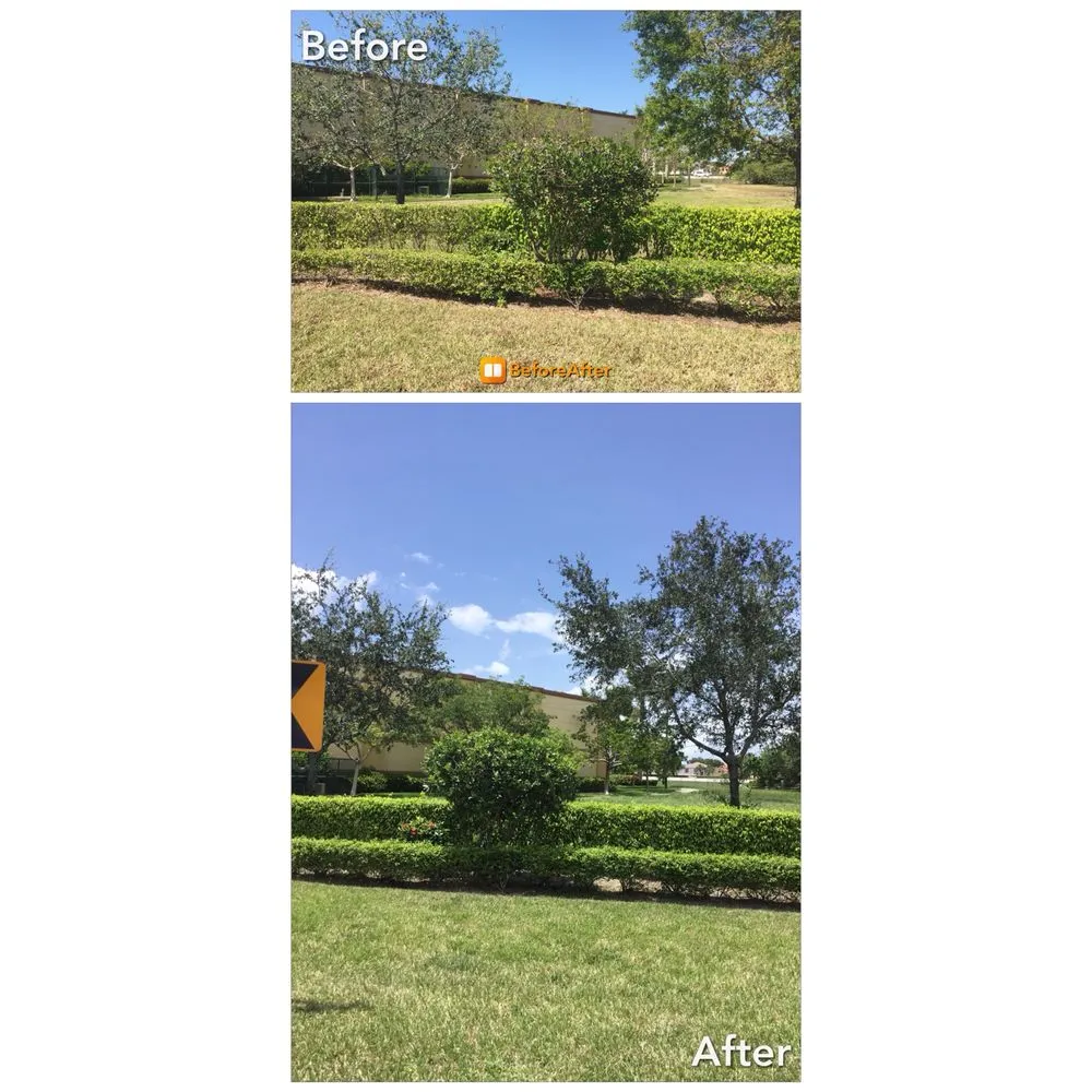 Local landscaping services for homes in Royal Palm Beach, FL by PowerX