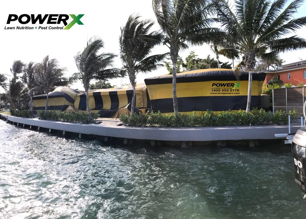 Expert yard maintenance in Royal Palm Beach, FL by PowerX