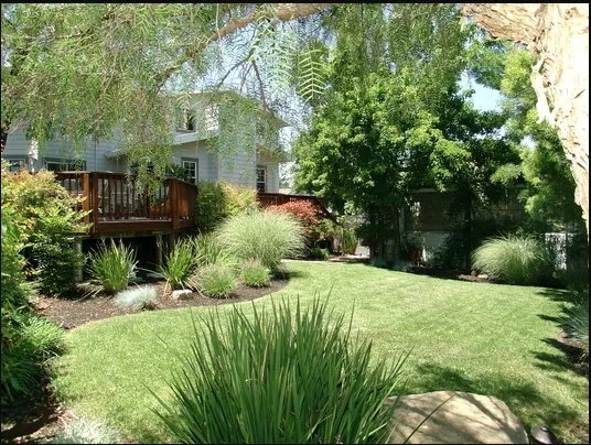 Custom yard maintenance in Royal Palm Beach, FL - PowerX