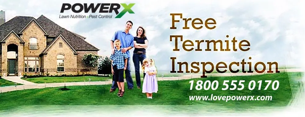 Expert yard cleanup service near you across Royal Palm Beach, FL - PowerX