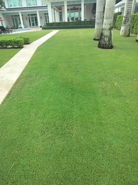 Top-rated landscaping services in West Palm Beach, FL by PowerX