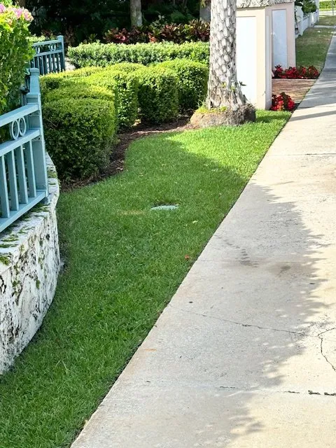 Local landscape design in West Palm Beach, FL by PowerX