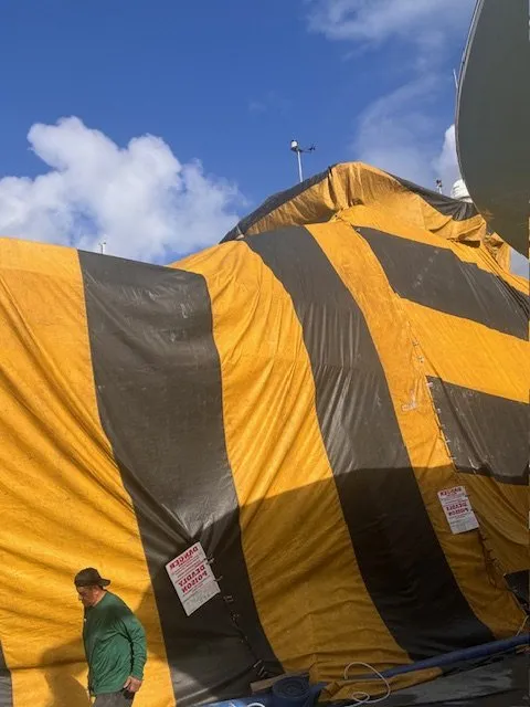 Expert landscape design in West Palm Beach, FL by PowerX