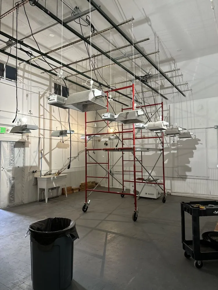 Trusted yard maintenance for outdoor upgrades in Cedar Park, TX by Poynor & Poynor