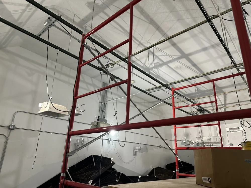 Reliable lawn care service for year-round maintenance across Cedar Park, TX - Poynor & Poynor