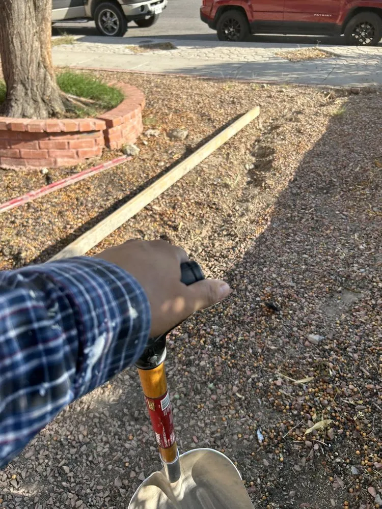 Professional yard maintenance for residential properties across El Paso, TX - P&P Construction