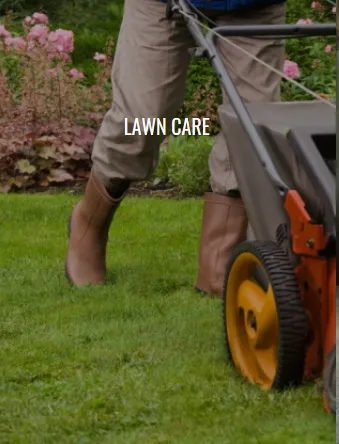 Reliable garden landscaping for homes in Texarkana, TX by P&P Junk Busters