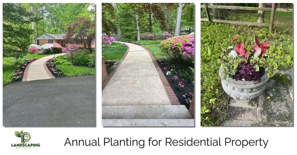 Local landscape design in Annandale, VA by P&P Landscaping and Lawn Care