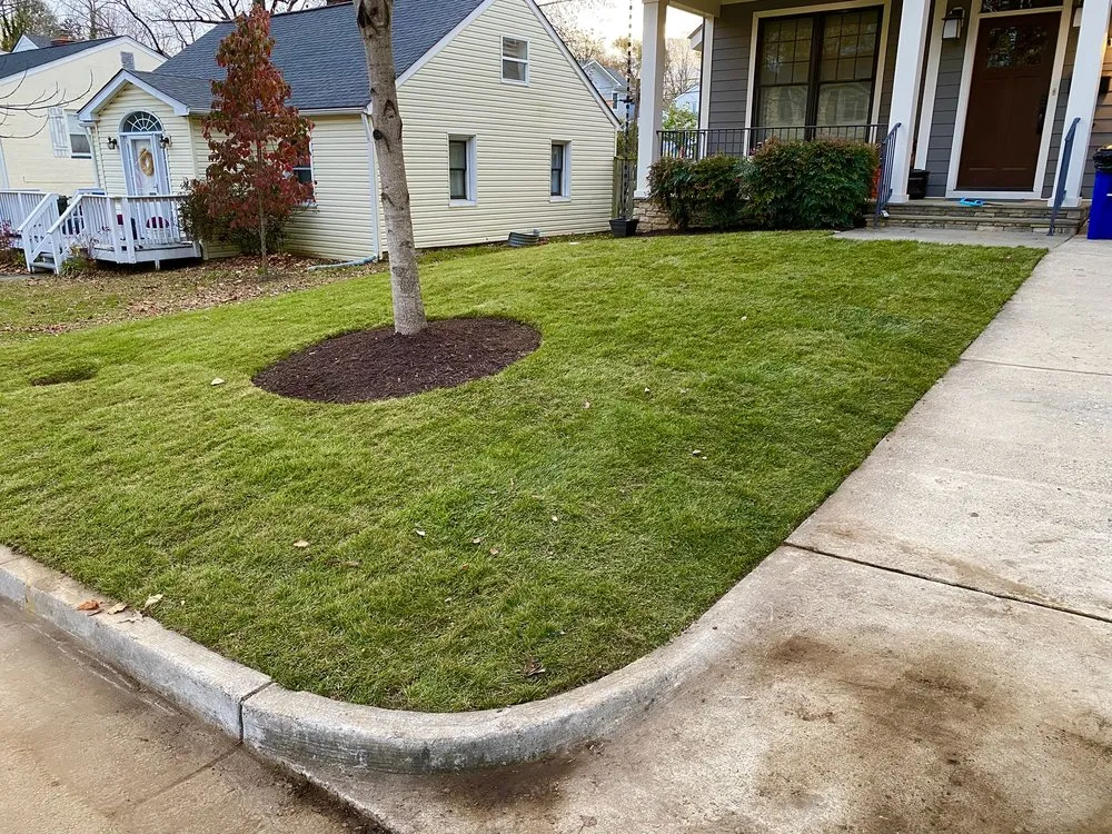 Reliable lawn mowing service for homes in Annandale, VA by P&P Landscaping and Lawn Care