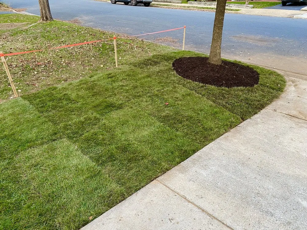 Top-rated yard maintenance for year-round maintenance in Annandale, VA by P&P Landscaping and Lawn Care