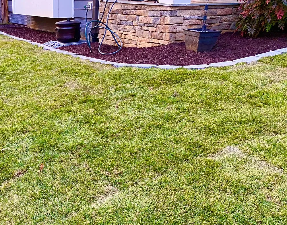 Top-rated yard maintenance for beautiful yards across Annandale, VA - P&P Landscaping and Lawn Care