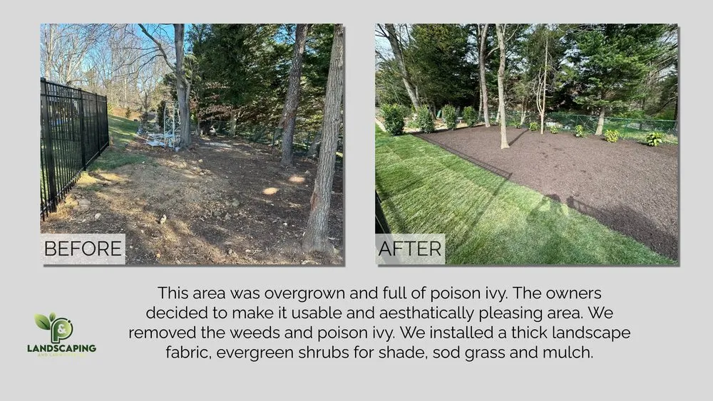 Trusted yard cleanup service for year-round maintenance in Annandale, VA by P&P Landscaping and Lawn Care