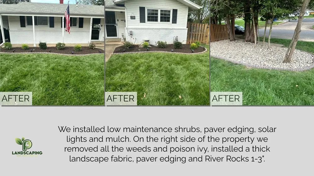 Custom yard cleanup service experts serving Annandale, VA - P&P Landscaping and Lawn Care