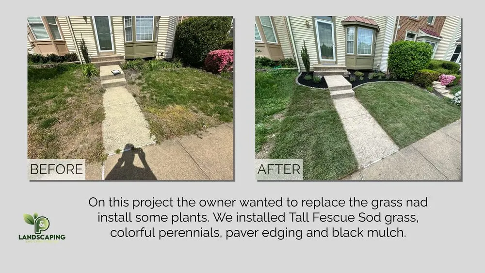 Trusted landscaping services in Annandale, VA by P&P Landscaping and Lawn Care