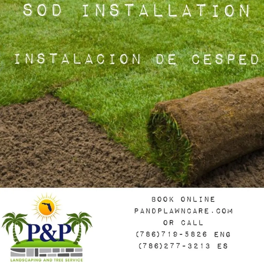 Top-rated landscape design experts serving North Miami, FL - P&P Landscaping and Tree Service