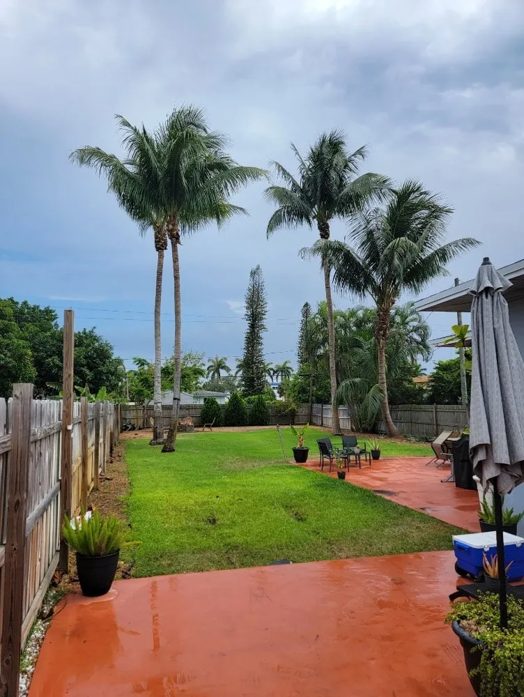 Professional lawn care service for beautiful yards in North Miami, FL by P&P Landscaping and Tree Service