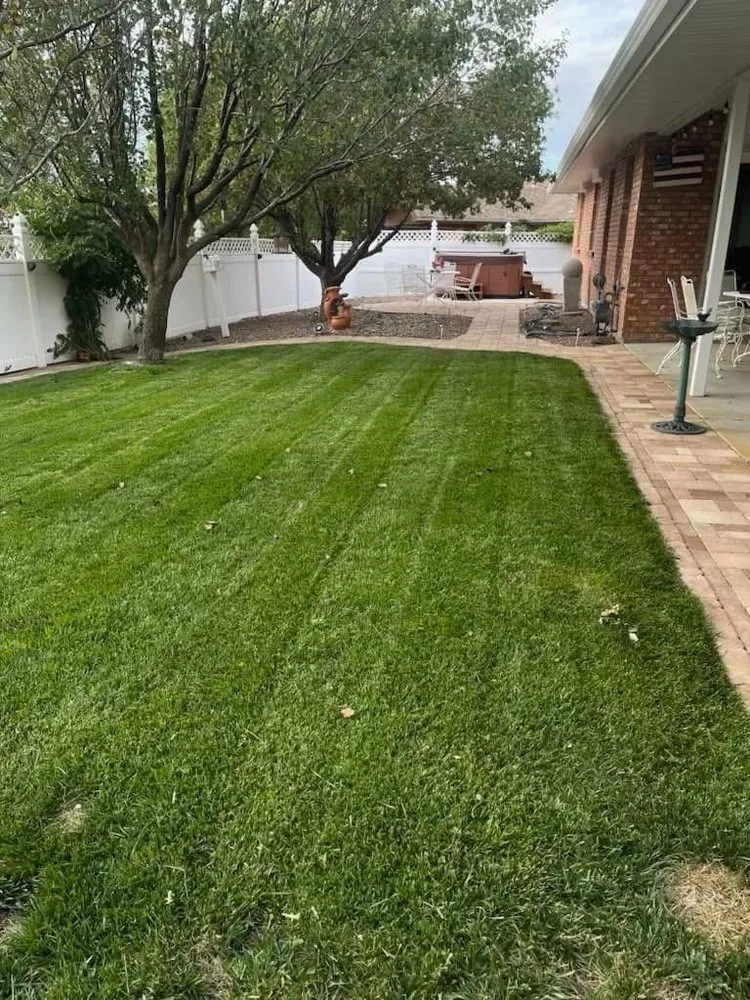 Top-rated landscape design for year-round maintenance in Gallup, NM by P&P Landscaping